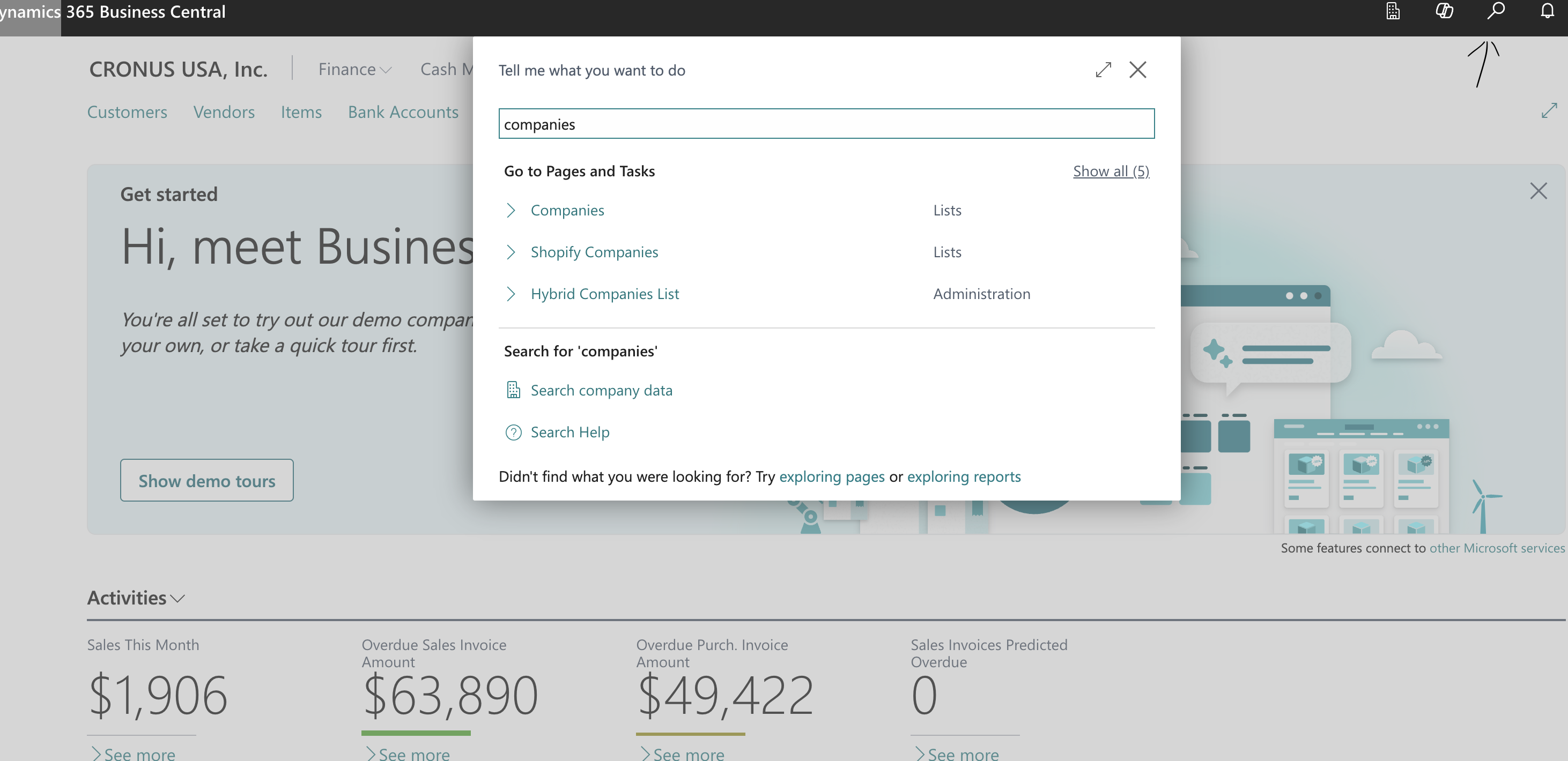 Business Central search icon and Companies tab