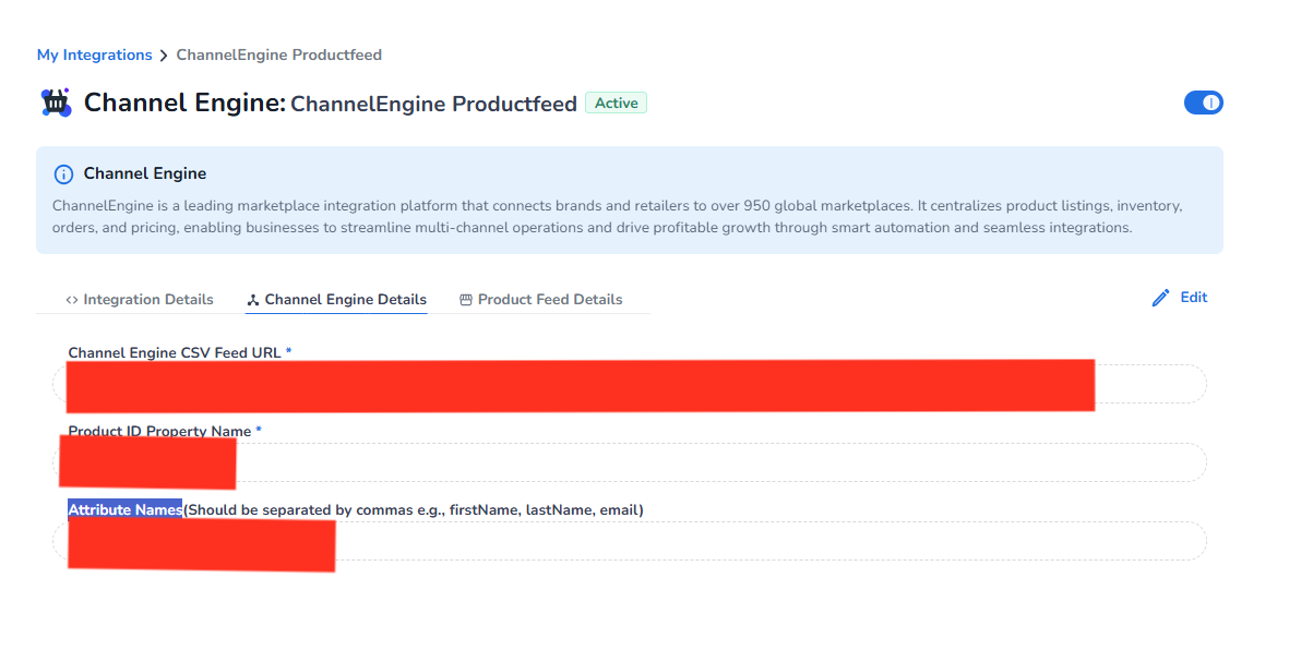 Channel Engine delivery details showing case-sensitive attribute names