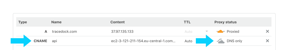 Cloudflare DNS records list with arrows pointing at the CNAME record type and its proxy status set to DNS only