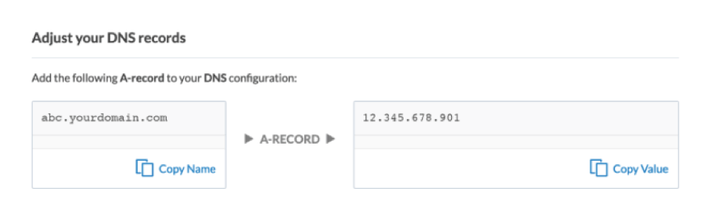 Webtracker dashboard step "Adjust your DNS records": an A-record with a name (abc.yourdomain.com) and an IP address value, each with a copy button