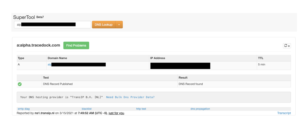 MxToolbox DNS lookup result with the message "DNS Record Published" and the result "DNS Record found"