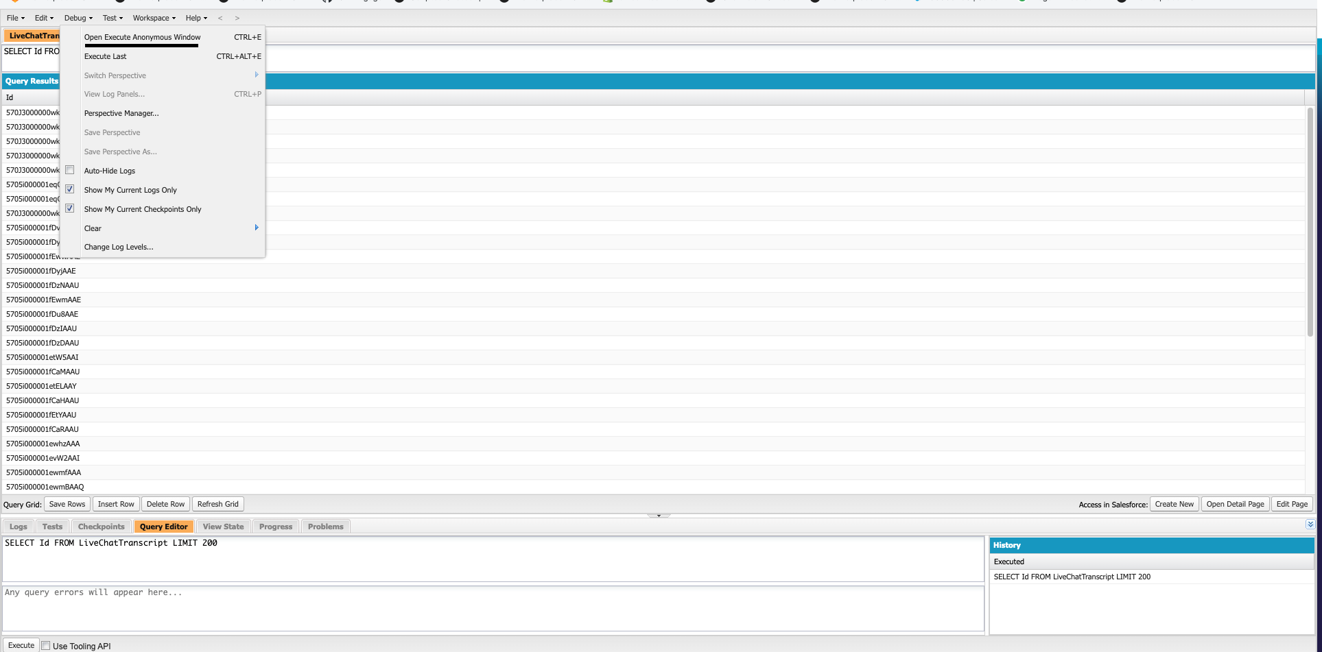 Developer Console Debug menu with Open Execute Anonymous Window option highlighted