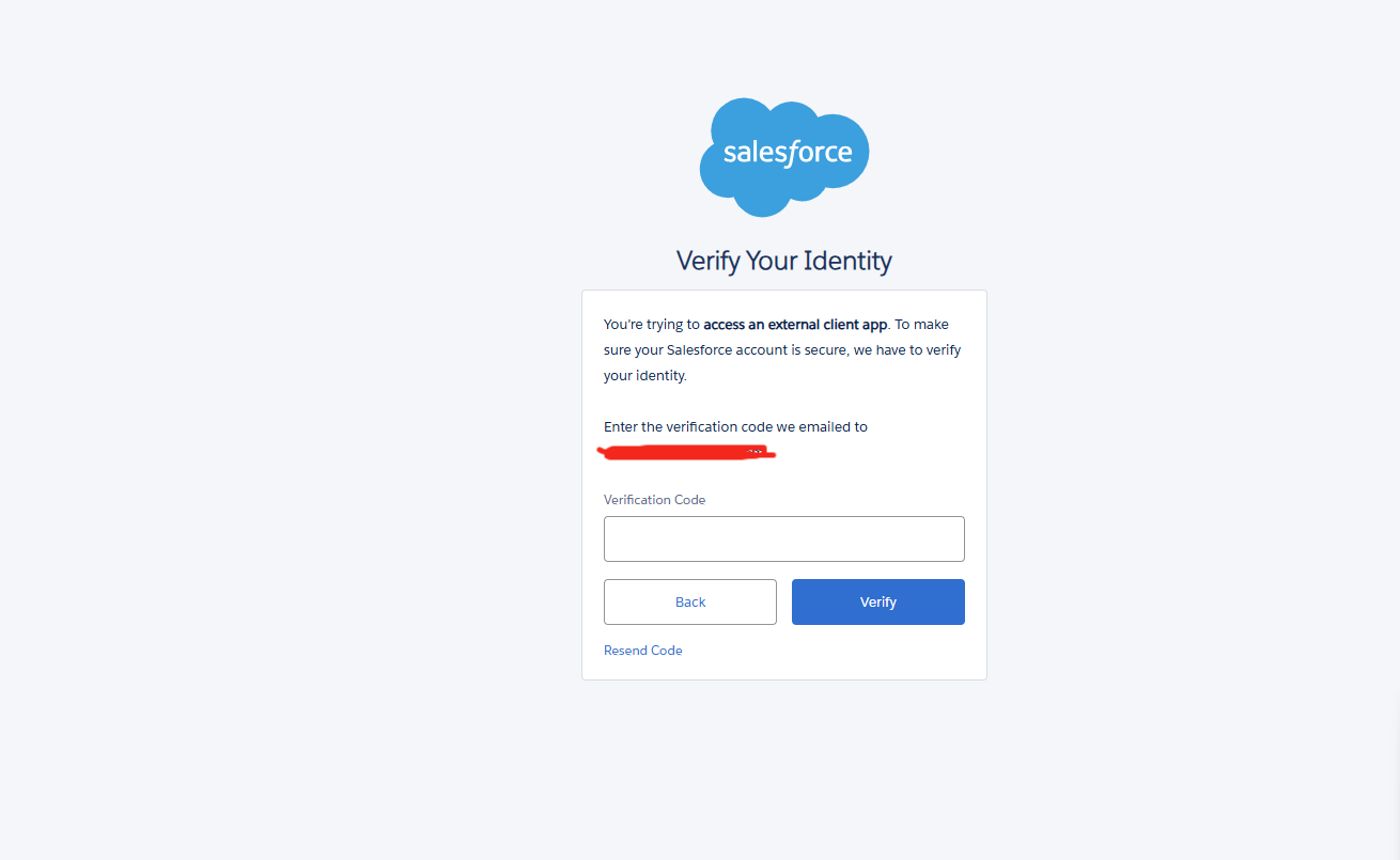 Identity verification code entry screen
